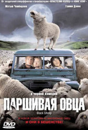 Постер Black Sheep